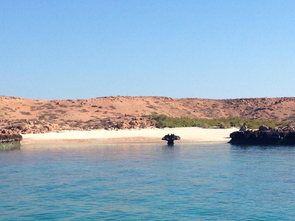 Daymain. Daniela Locati