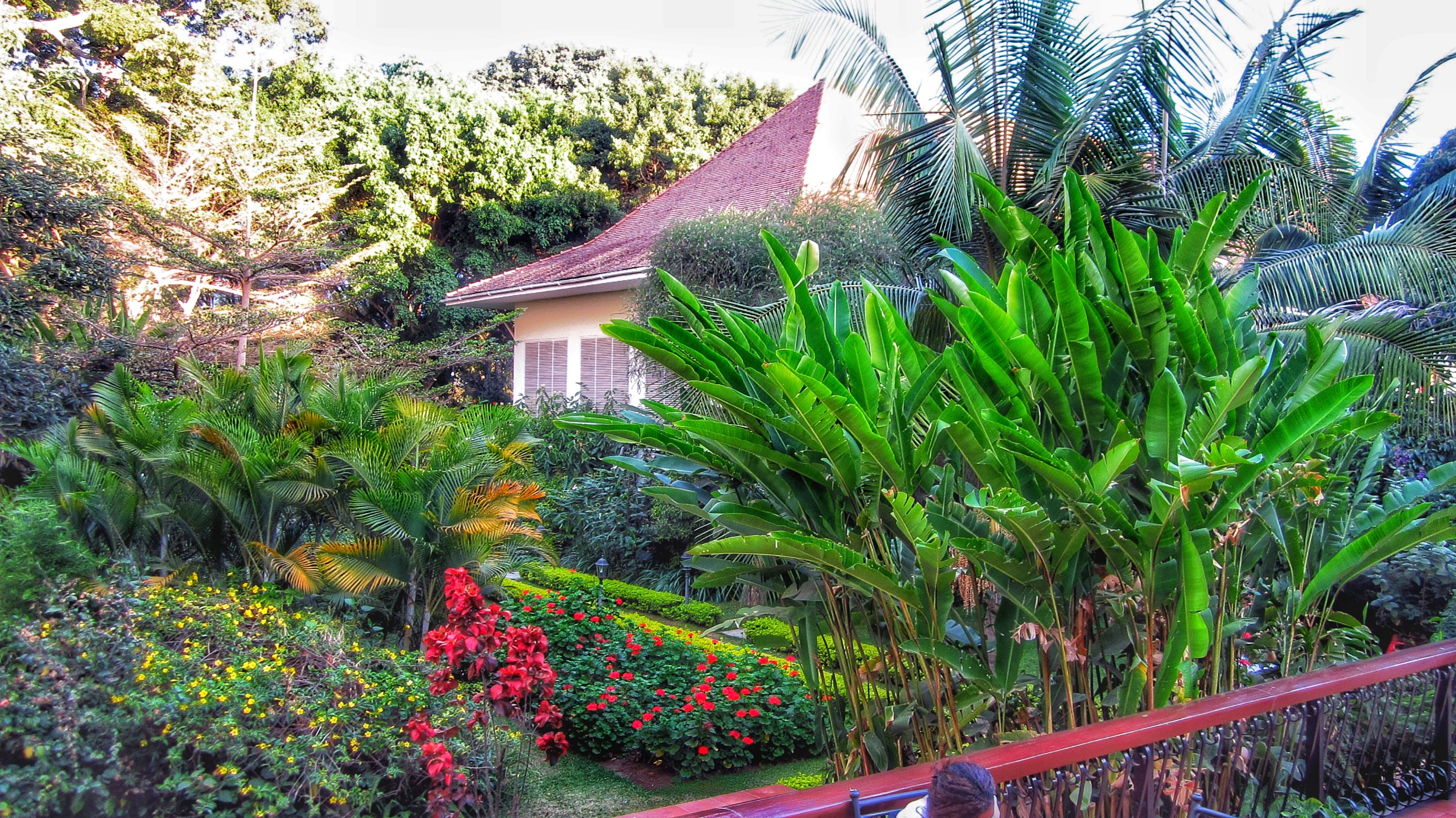 tanzania arusha hotel - giardino interno _dl-015907770625565032903..jpg