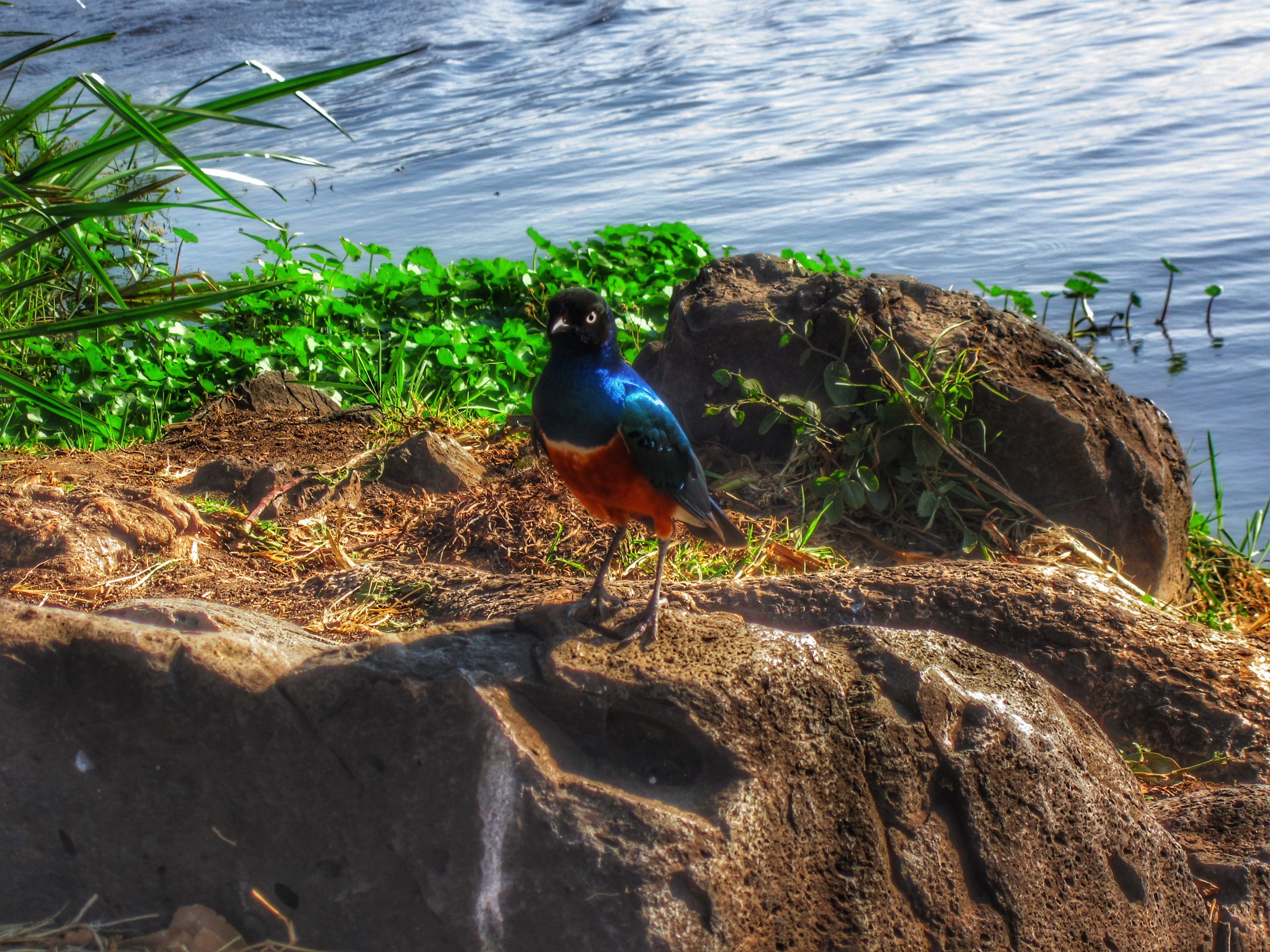 tanzania _dl (4)-013156081316623114856..jpg